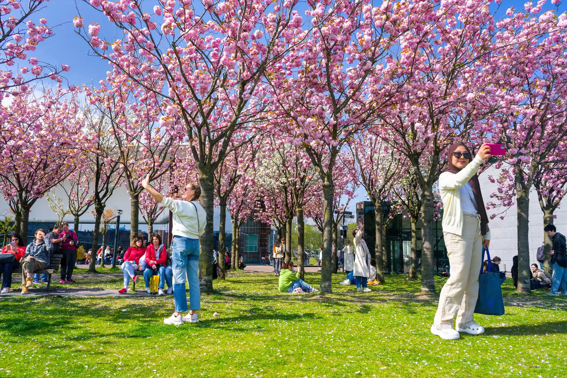 lente spring museumplein amsterdam hanno groen foto